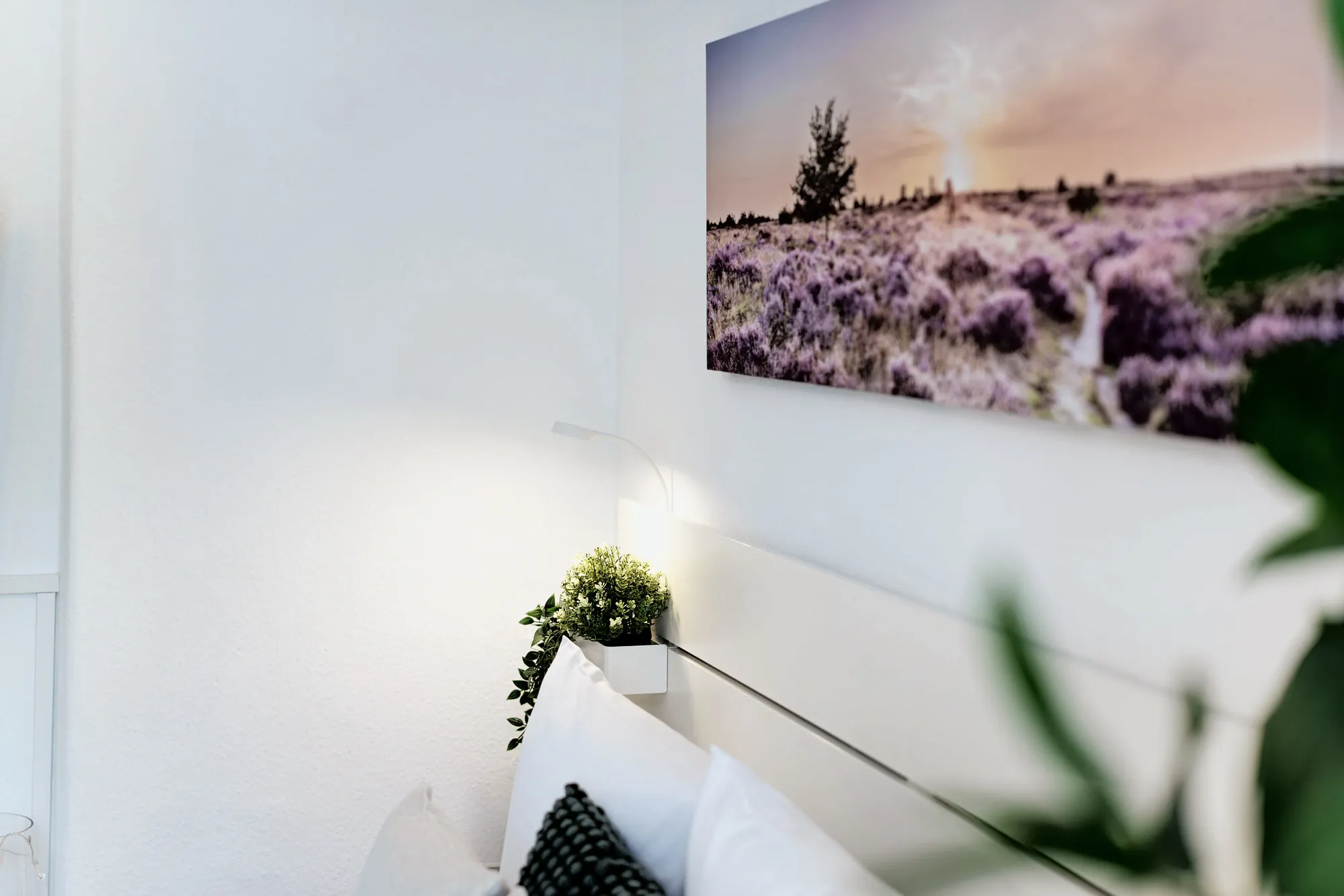 Detail im Boutique-Apartment Green I in Dresden