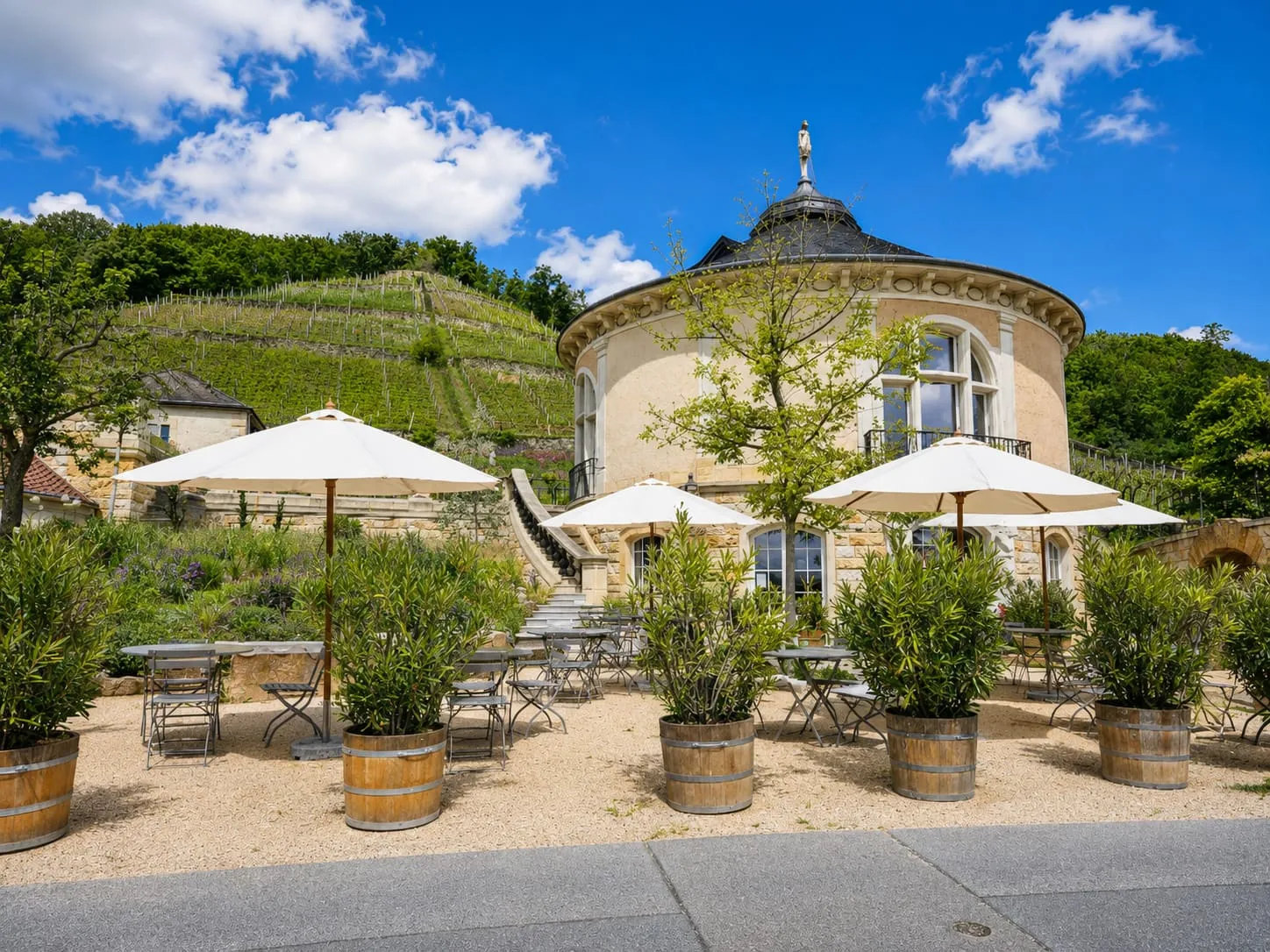 Weingut Klaus Zimmerling in Dresden-Pillnitz — Belvedere und Terrasse am Weinberghang, Sonnenschirme im Sommerlicht